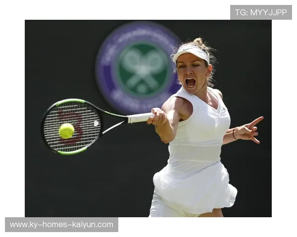 哈勒普回球稳定节奏重现 哈勒普回球稳定节奏重现