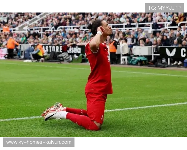 努涅斯状态在线